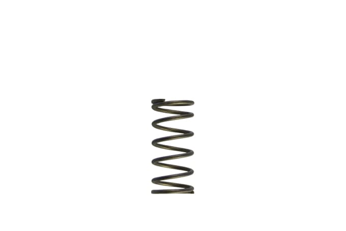GenV WG60 5psi Purple Inner Spring by Turbosmart - performance upgrade from Torque Lab
