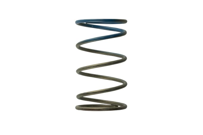 Gen4 / IWG WG38/40/45/50L 10PSI OUTER SPRING - BROWN/BLUE by Turbosmart - performance upgrade from Torque Lab