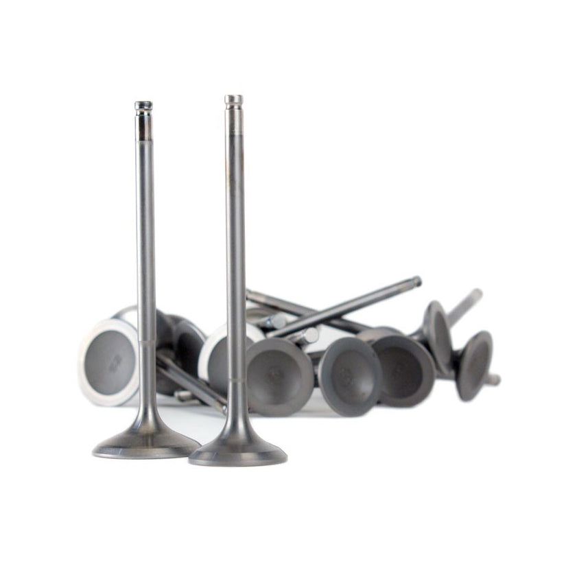 SKUNK2 B-SERIES VTEC ULTRA SERIES VALVES STOCK SIZE STD COMP VALVES