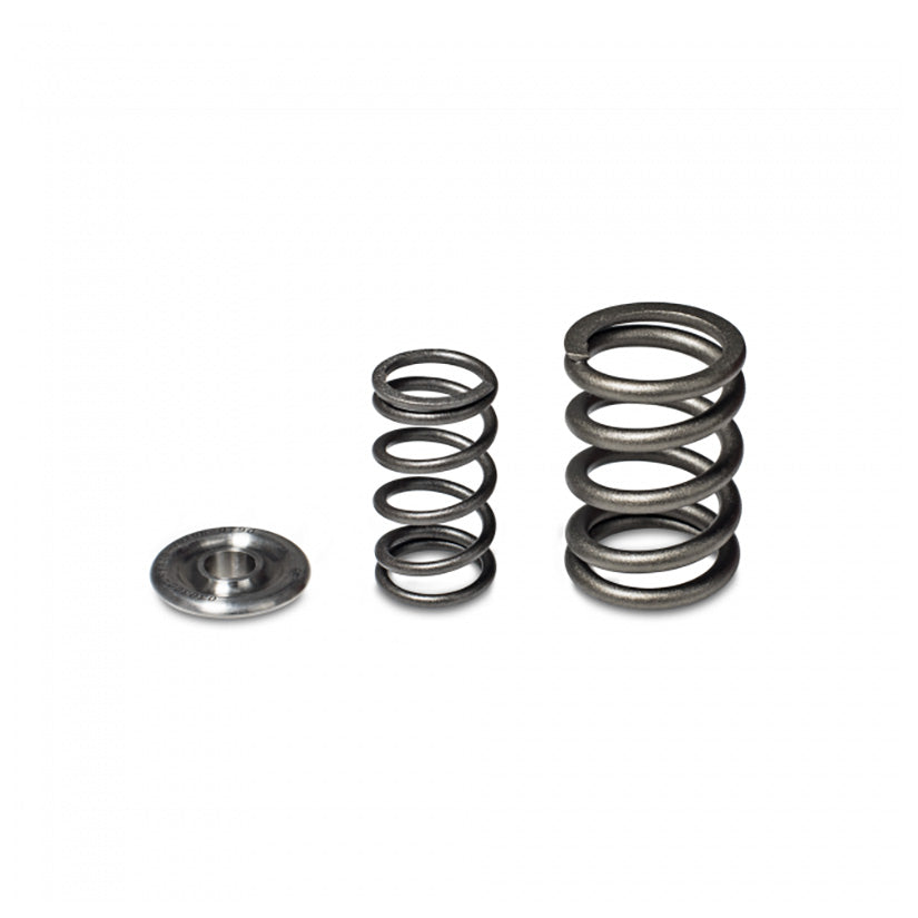 SKUNK2 RACING H-SERIES ALPHA VALVE SPRING AND TITANIUM RETAINER KIT