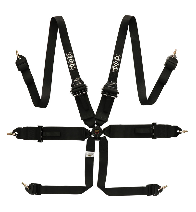 6-point safety harness FHR Touring FIA - Black
