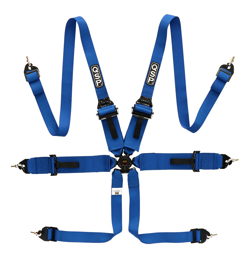 6-point safety harness FHR Touring FIA - Blue