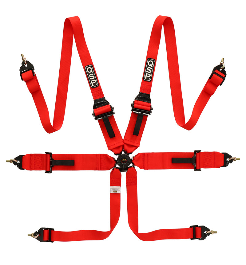 6-point safety harness FHR Touring FIA - Red