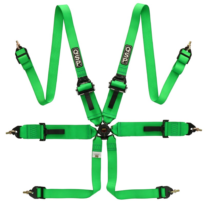 6-point safety harness FHR Touring FIA - Green