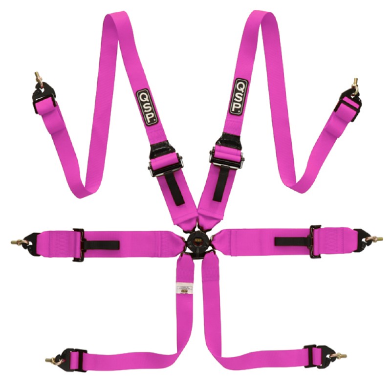 6-point safety harness FHR Touring FIA - Pink