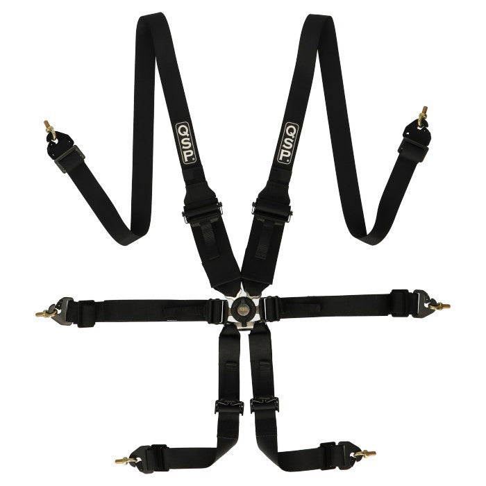 6-point safety harness FHR Endurance FIA - Black