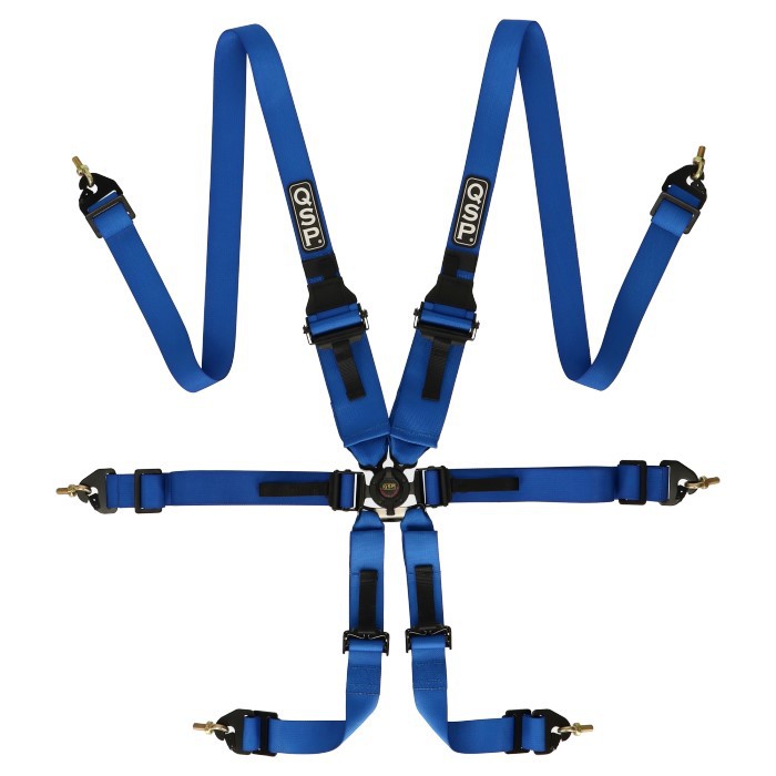 6-point safety harness FHR Endurance FIA - Blue