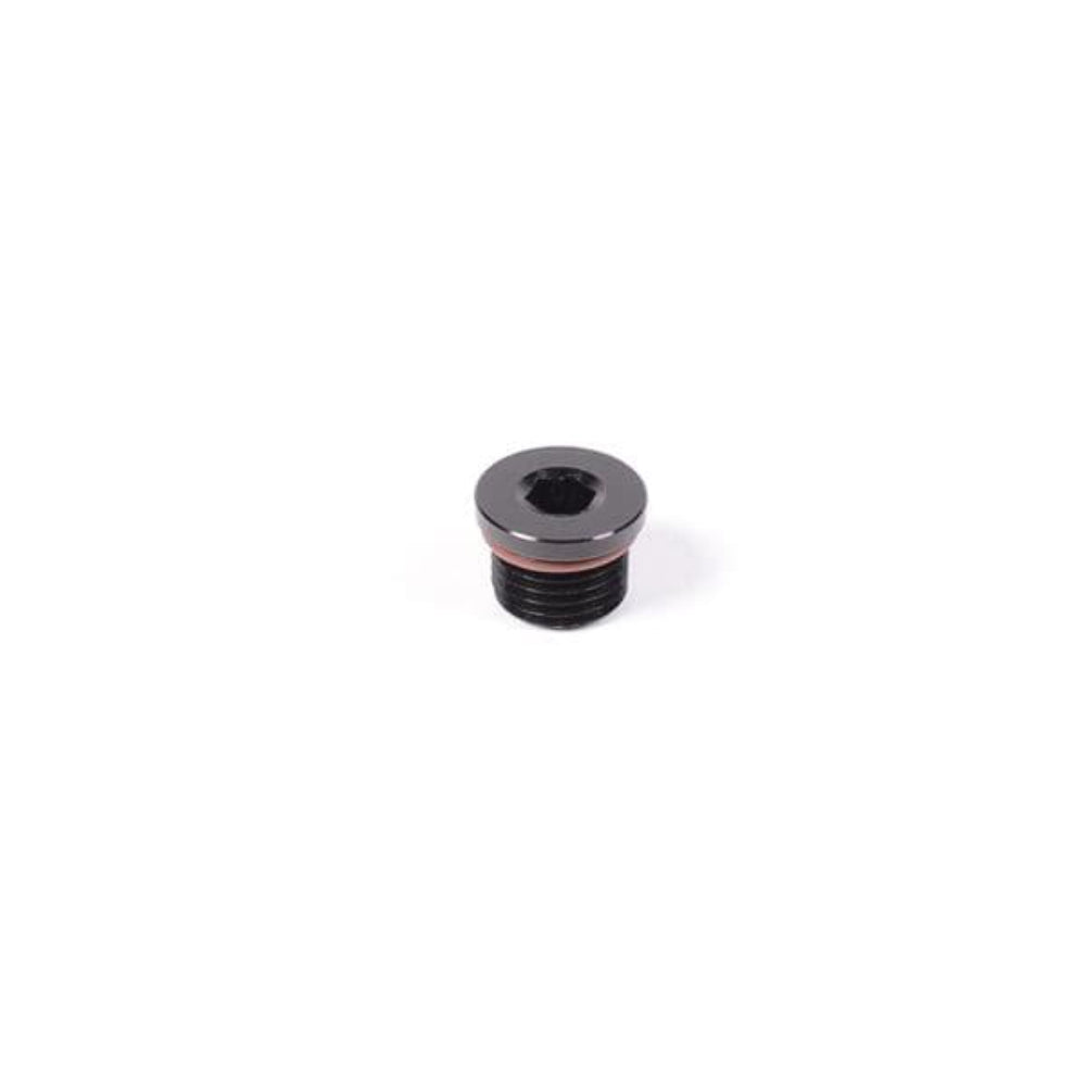 Radium Engineering Universal ORB Plug Fitting - 6AN