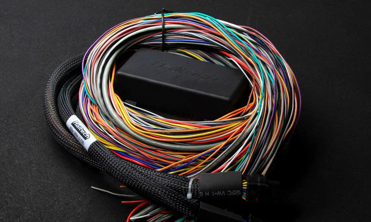  Torque Lab ECU harnesses and wiring adapters for plug-and-play electronics
