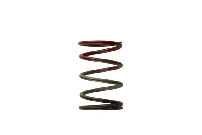 Gen4 / IWG WG38/40/45/50L 11PSI MIDDLE SPRING - BROWN/RED by Turbosmart - performance upgrade from Torque Lab