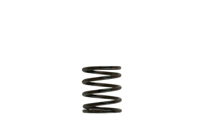Gen4 / IWG WG38/40/45/50L 3PSI INNER SPRING - BROWN/BLACK by Turbosmart - performance upgrade from Torque Lab