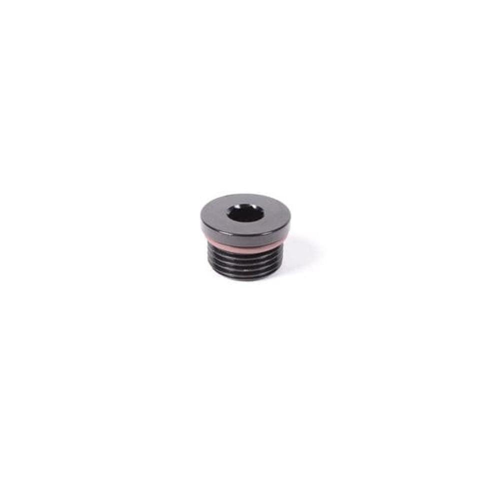 Radium Engineering Universal ORB Plug Fitting  - 6AN