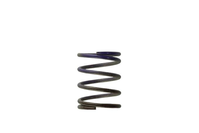 Gen4 / IWG WG38/40/45/50L 7PSI MIDDLE SPRING - BROWN/PURPLE by Turbosmart - performance upgrade from Torque Lab