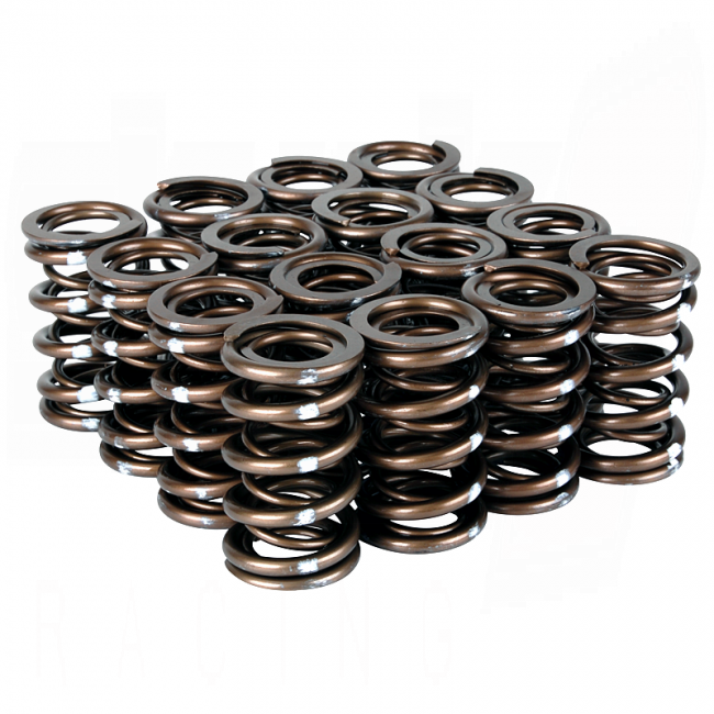 Skunk2 Pro XP valve springs Honda B16 B18 VTEC high RPM performance valvetrain