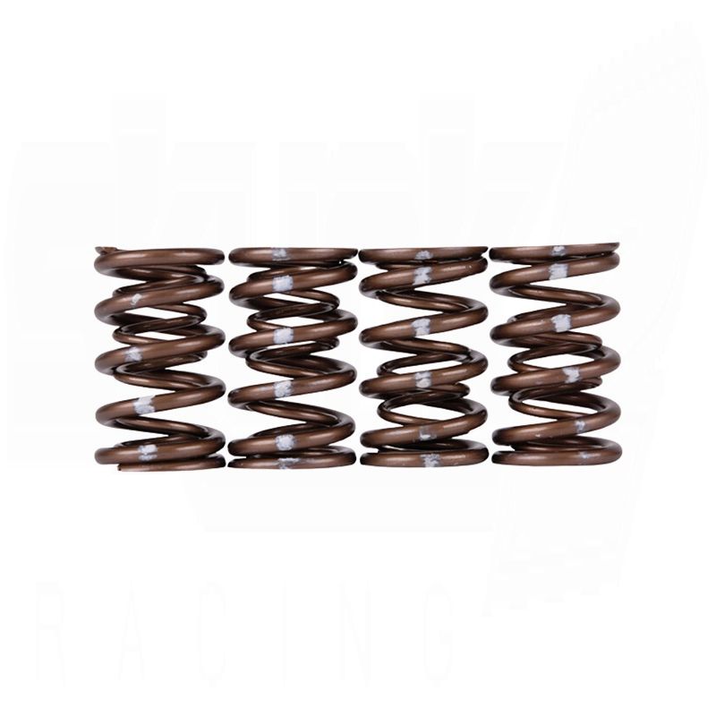 Skunk2 Pro XP valve springs Honda B16 B18 VTEC high RPM performance valvetrain