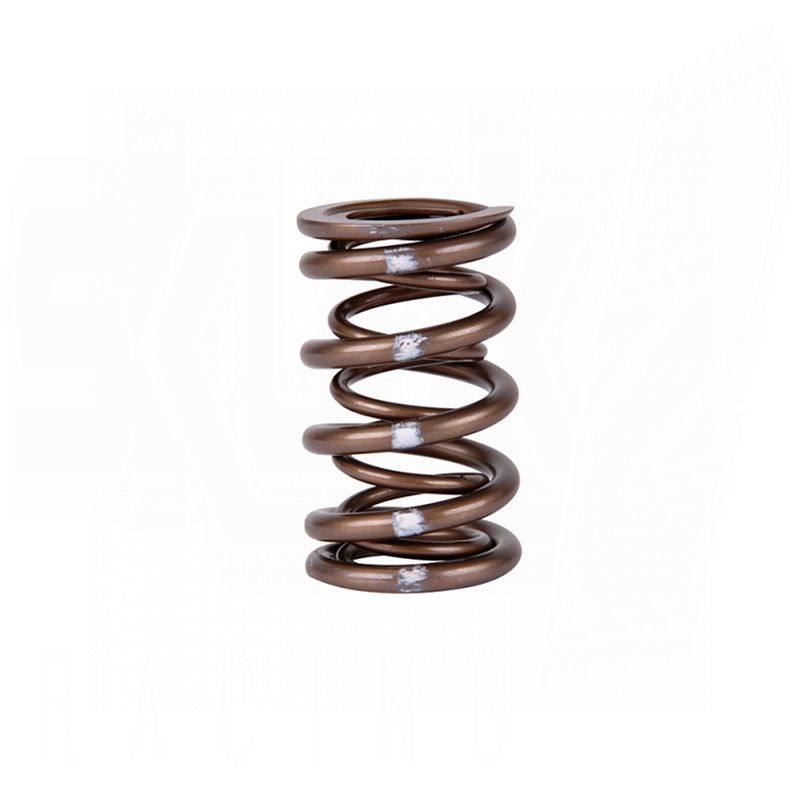 Skunk2 Pro XP valve springs Honda B16 B18 VTEC high RPM performance valvetrain